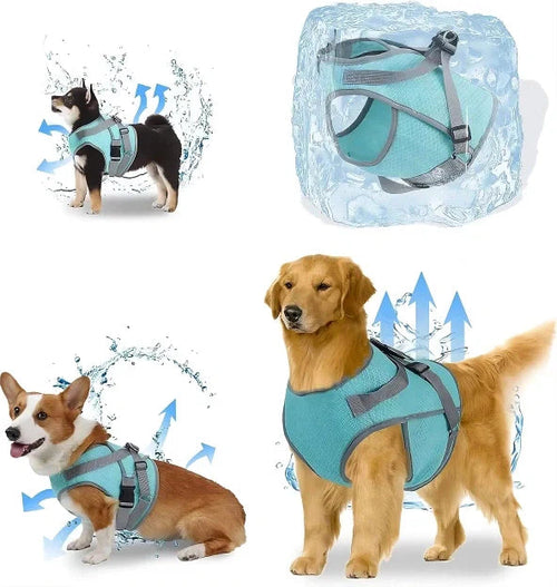 Coleira Peitoral Cold Dog para cães