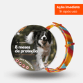 8MESESDEPROTECAO_32 - Lynzo
