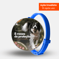 8MESESDEPROTECAO_33 - Lynzo