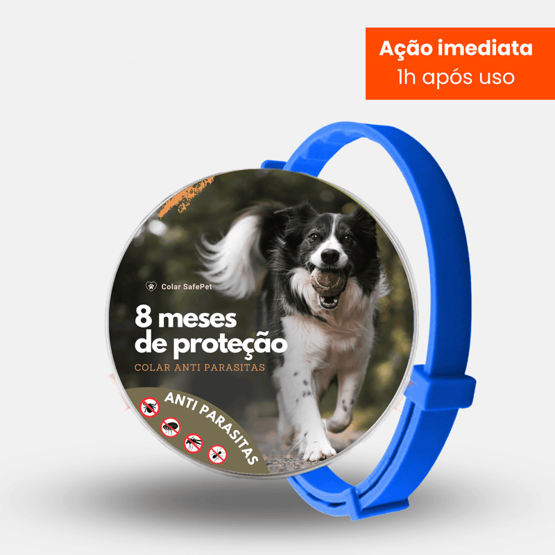 8MESESDEPROTECAO_33 - Lynzo