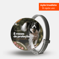 8MESESDEPROTECAO_34 - Lynzo