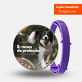 8MESESDEPROTECAO_35 - Lynzo