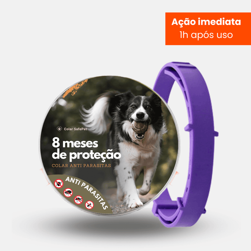 8MESESDEPROTECAO_35 - Lynzo