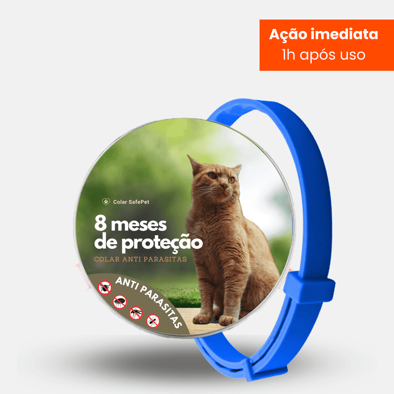 8MESESDEPROTECAO_36 - Lynzo