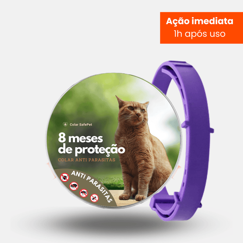 8MESESDEPROTECAO_38 - Lynzo