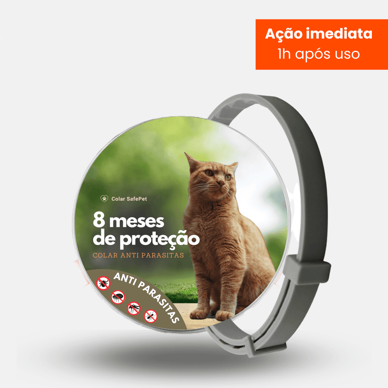 8MESESDEPROTECAO_40 - Lynzo