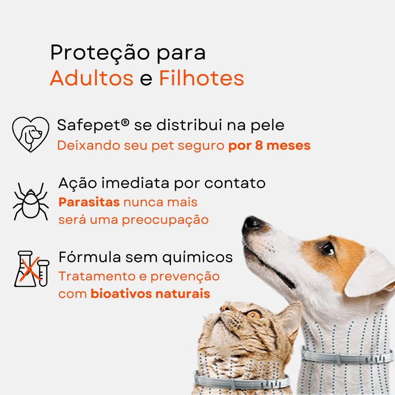 Copiade7DIAS_7 - Lynzo