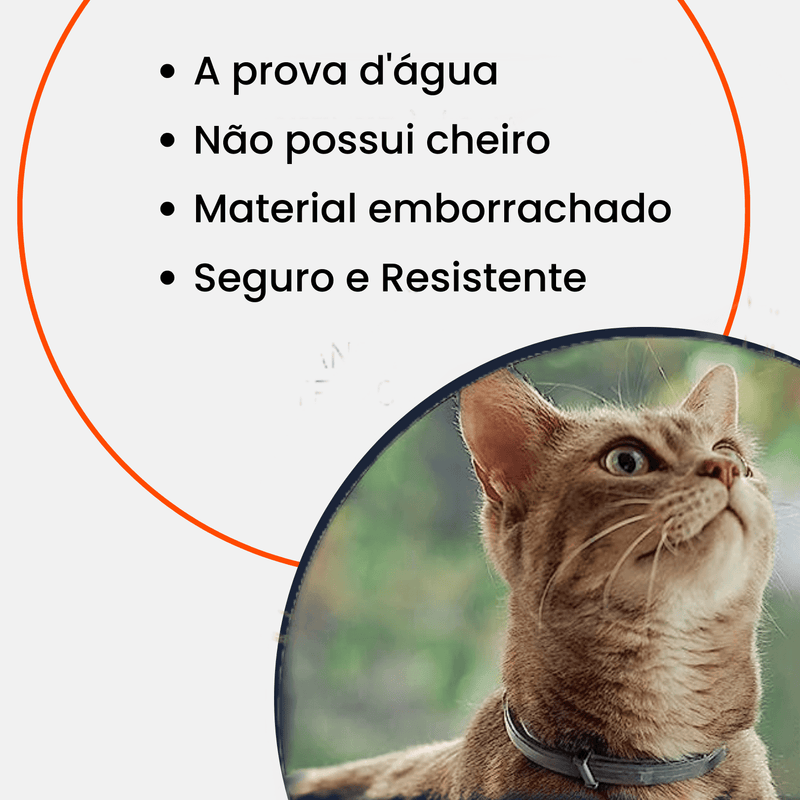 Copiade7DIAS_8 - Lynzo